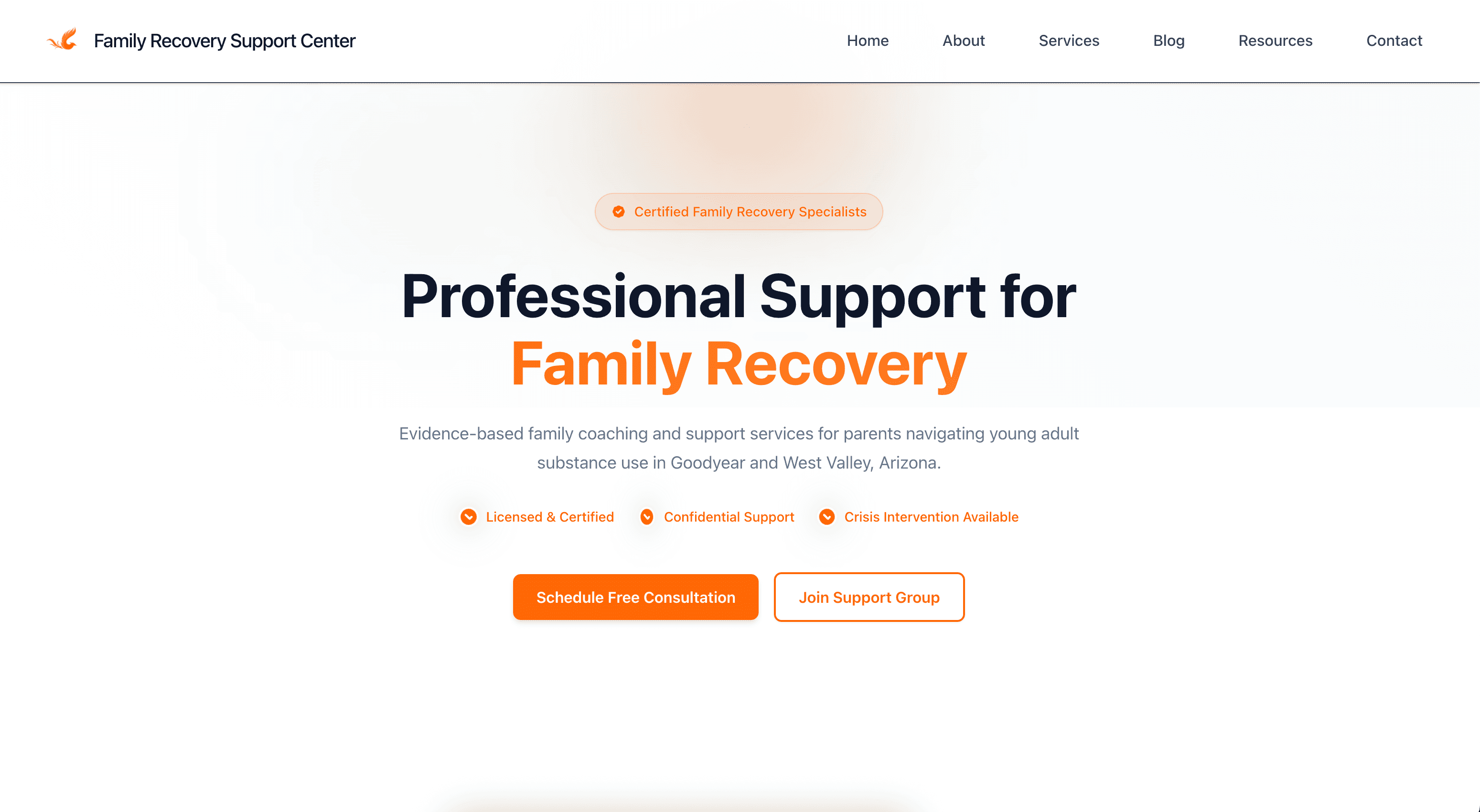 Family Recovery Support Center - Website Development and SEO Analytics project showcasing Next.js, TypeScript, Aceternity UI